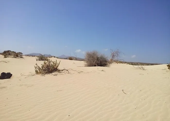 In Oasis Tropicale Feriehus