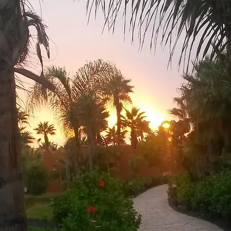 In Oasis Tropicale Hébergement de vacances Corralejo