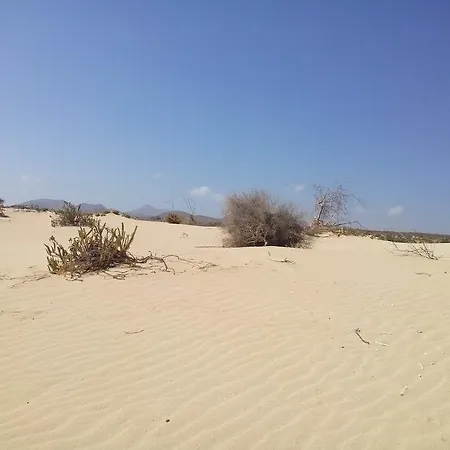 In Oasis Tropicale Hébergement de vacances