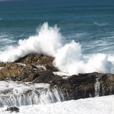 Hébergement de vacances In Oasis Tropicale *